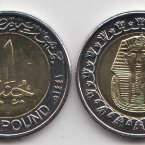 Египет 1 фунт 2005-2024 UNC